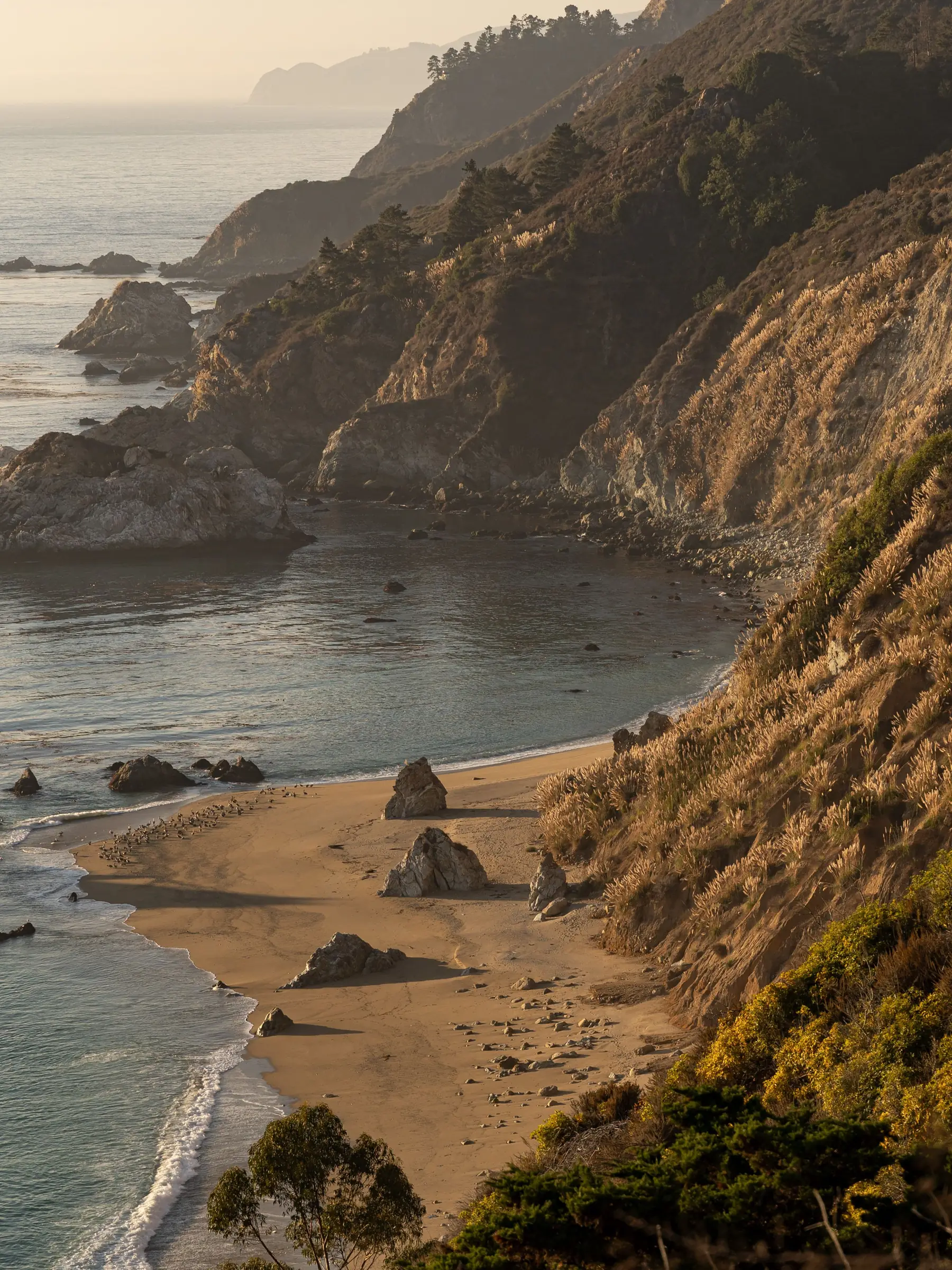 A sandy cove below coastal cliffs in hazy evening light