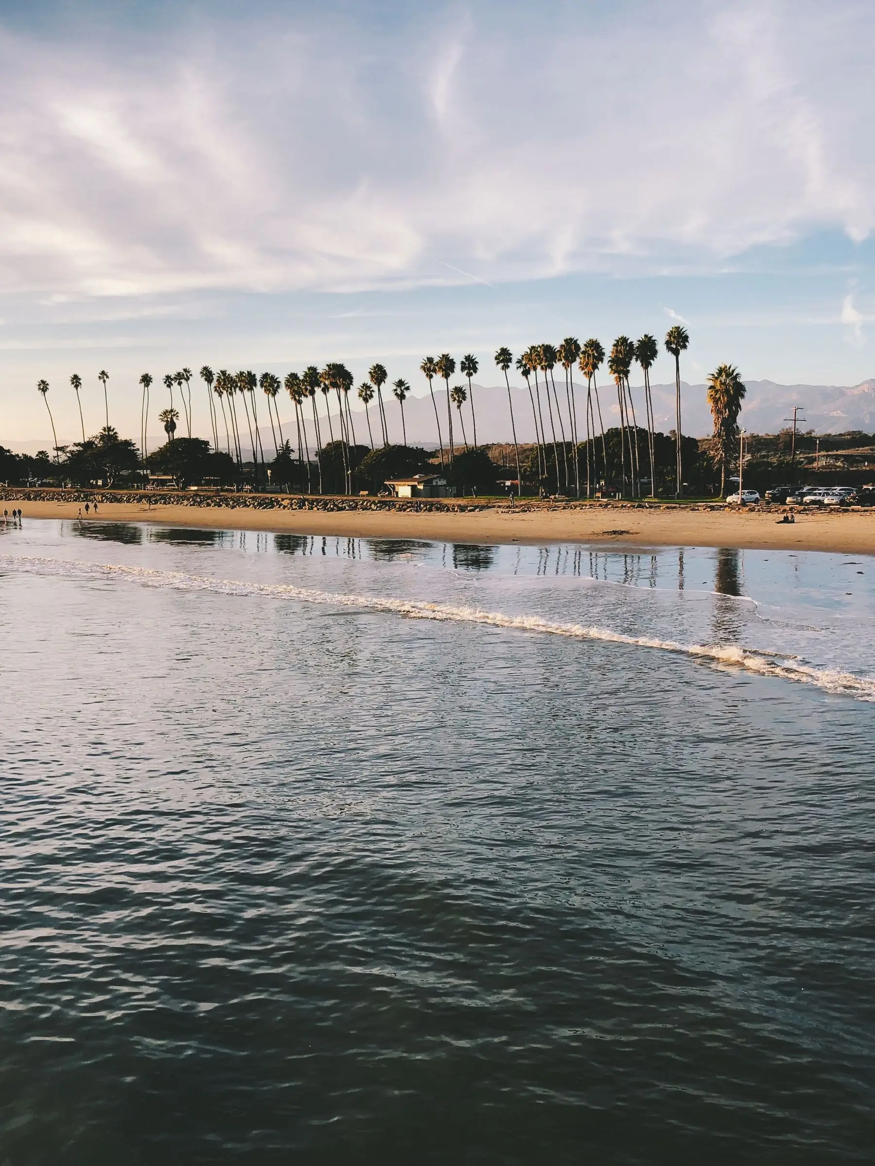 A Santa Barbara beach lined with palms below the mountains at sunset