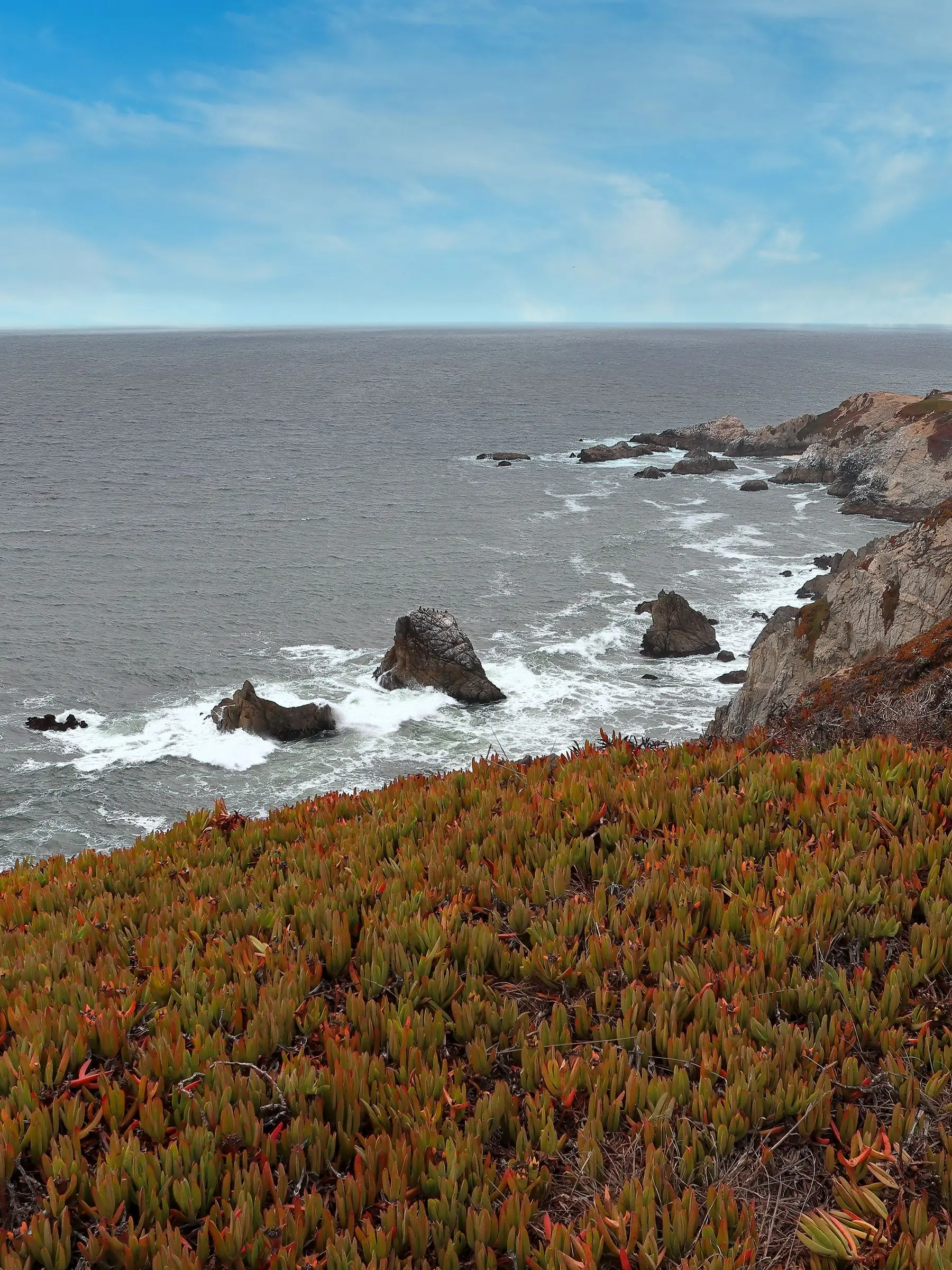 Grass-covered cliffs above the surf at Bodega Bay