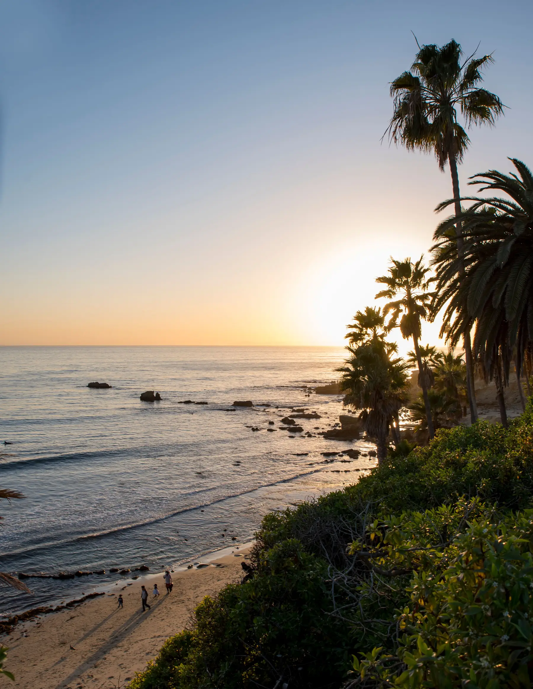 Palm trees silhouetted against the sun setting over the ocean